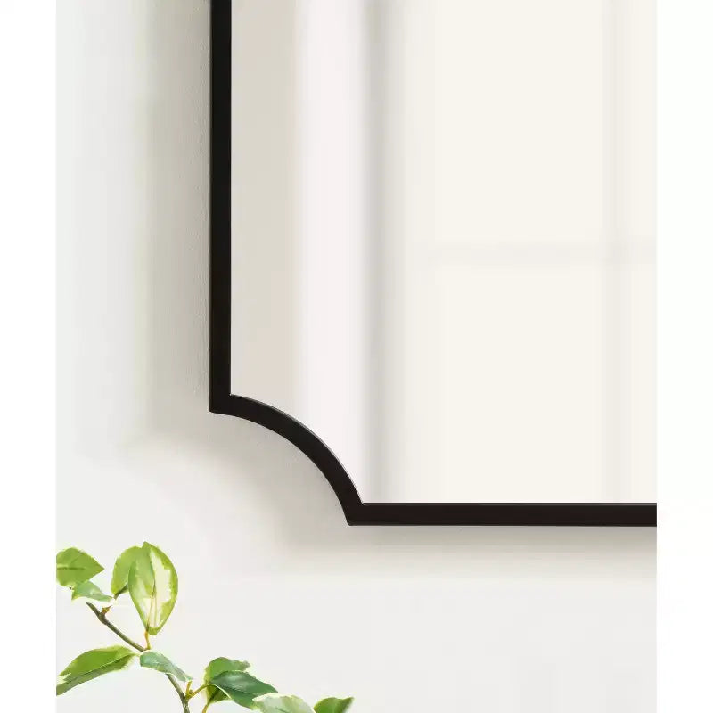 Carlow Framed Wall Mirror, 30x20, Plastic Frame