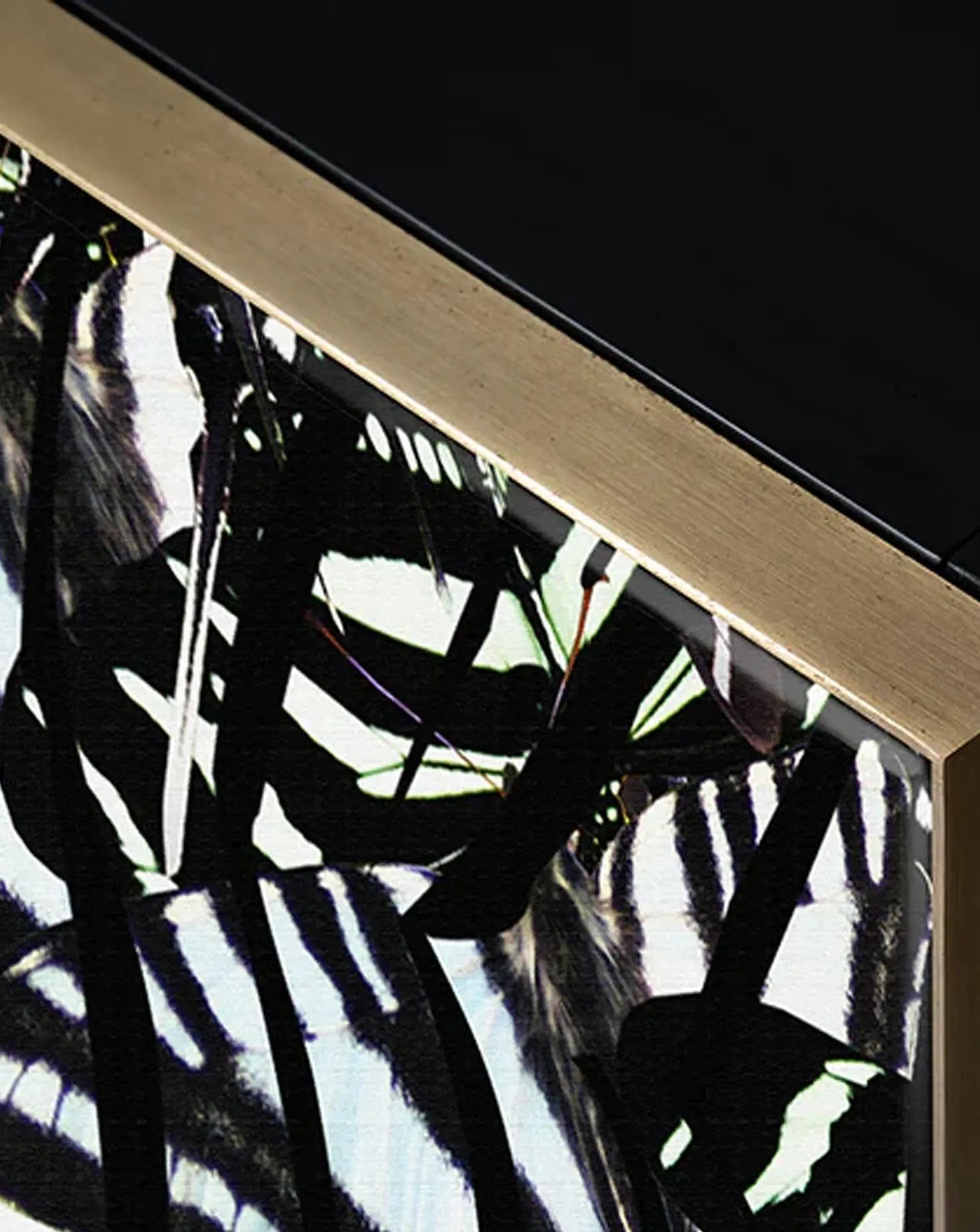 Cordelia Zebra Butterfly Cabinet