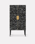 Cordelia Zebra Butterfly Cabinet
